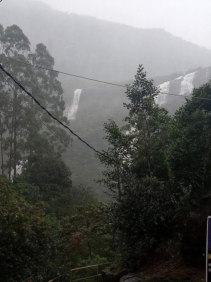 Tea Breeze Motel 纳拉坦尼亚 外观 照片